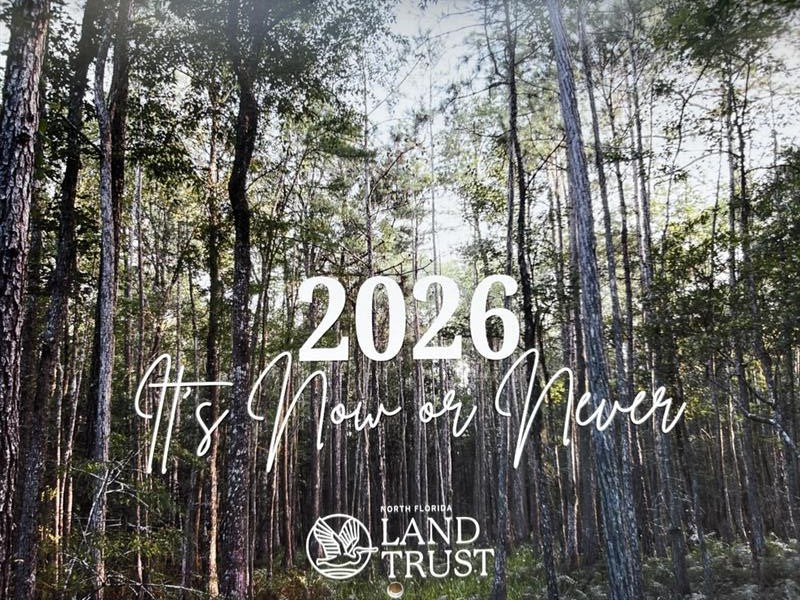 2026 Calendar by Episcopal School of Jacksonville photography students