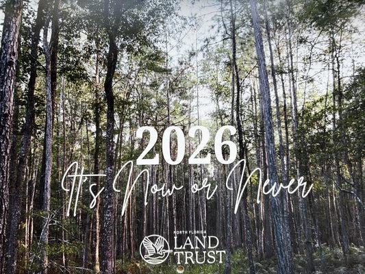 2026 Calendar by Episcopal School of Jacksonville photography students